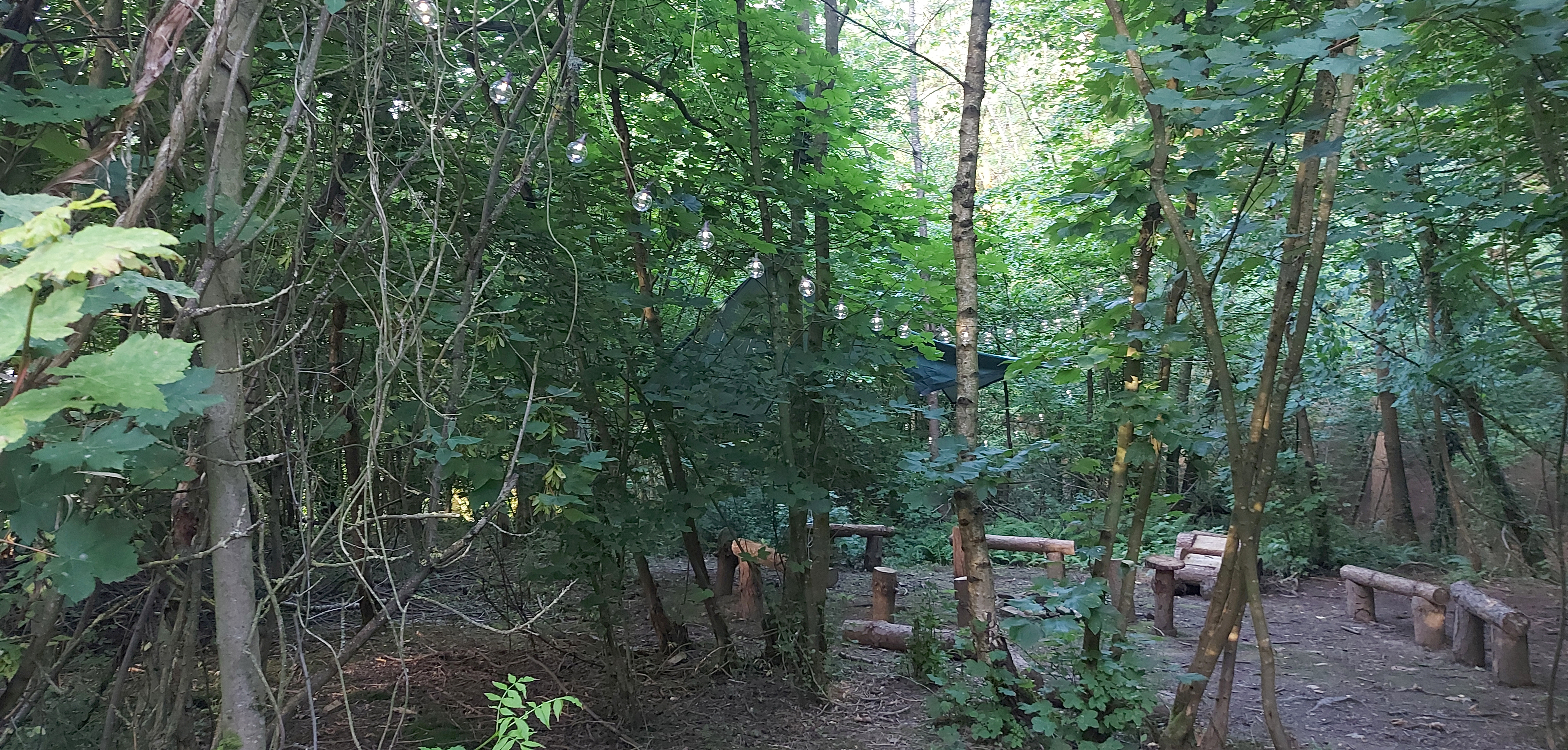 Join us in our peaceful woodland camp, or on a day hike, and learn new skills.