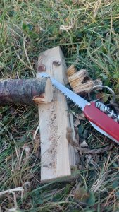 1_cut_flat_edge_sm